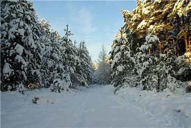 国游10月数据统计榜：《传奇生物2》榜一